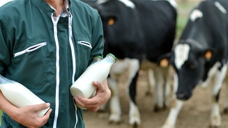 Biologische melk van Albert Heijn