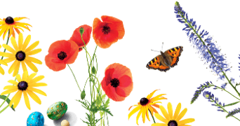 Bloemen met vlinder en decoratieve stenen
