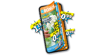 AH Bonusfolder met aanbiedingen, waaronder bloemkool en kortingsacties zoals 0,99 per doosje, 1,19 per stuk en 2 stuks voor 0,99