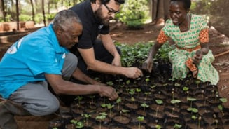Mensen planten zaailingen in een kas.