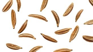 Komijnzaadjes op een witte achtergrond.