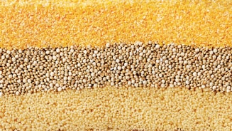 Lagen van verschillende granen en zaden als decoratief patroon.