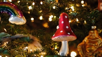 Kerstversiering met een paddenstoel en een regenboog in een verlichte kerstboom.