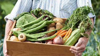 Man met een houten krat vol verse groenten, waaronder aardappelen, wortels, kool, pastinaak, uien, mais en snijbonen, vastgehouden op een boerderij.
