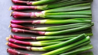 Rode lente-uitjes plat uitgestald op een oppervlak