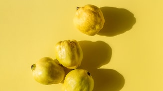 Hele kweeperen op een gele achtergrond