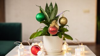 Kamerplant versierd met kerstballen in rode, groene en gouden kleuren, met kleine verlichte huisjes eromheen op een tafel.