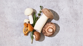 Verschillende soorten paddenstoelen op een grijze ondergrond.