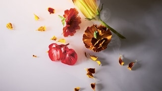 Bloemen en bloembladen verspreid op een lichte ondergrond.