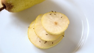 Schijfjes appel met fruitvliegjes op een bord