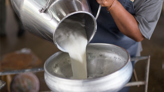 Melk die uit een roestvrijstalen kan in een grote kom wordt gegoten.