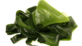 Stapeling van groene kombu zeewierbladeren.