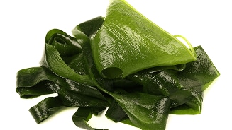 Kombu