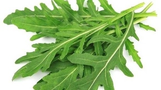 Verse rucola bladeren op een witte achtergrond.