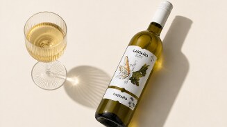 Fles witte wijn Castaño Macabeo Bio naast een gevuld wijnglas op een lichte ondergrond.