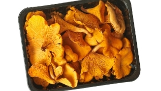 Bakje met verse cantharellen.