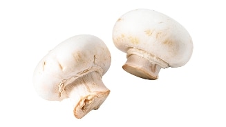 Twee verse champignons