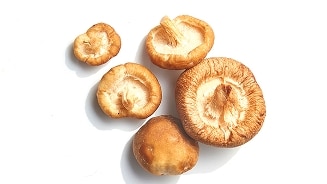 Gedroogde shiitake paddenstoelen op een witte achtergrond.