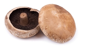 Twee portobello's, een vanaf bovenaanzicht en een vanaf onderaanzicht.