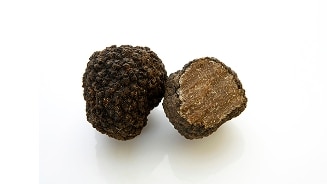 truffel open gesneden