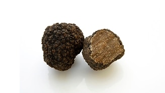 Opengesneden zwarte truffel op een witte achtergrond