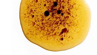 Boterham met stroop in macrofotografie
