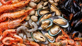 Verse zeevruchten met garnalen, mosselen, kokkels en schelpdieren.