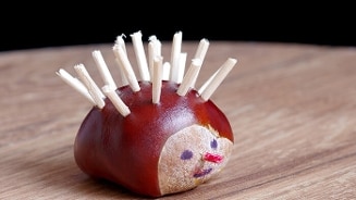 Egel van kastanjes