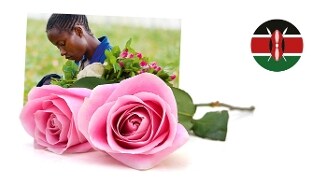 Roze bloemen en Keniaanse vlag voor een onscherpe achtergrond van een persoon