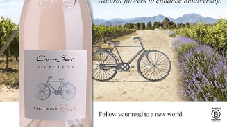 Cono Sur Bicicleta Pinot Noir Rosé wijnfles op een landweg omringd door wijngaarden en bloemen met tekst "Natural flowers to enhance biodiversity" en "Follow your road to a new world".