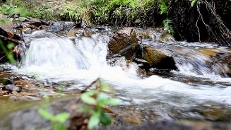 Bergbeek met stromend water en omringd door groene vegetatie en stenen.