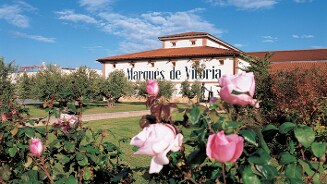 Wijngaard Marqués de Vitoria met roze bloemen op de voorgrond.