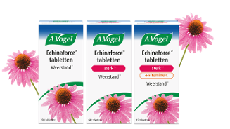 A.Vogel Echinaforce tabletten verpakkingen met paarse echinacea bloemen