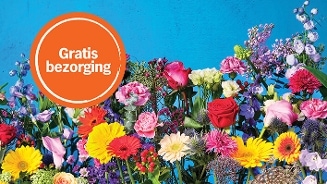 Boeket kleurrijke bloemen met tekst "Gratis bezorging" op een blauwe achtergrond.
