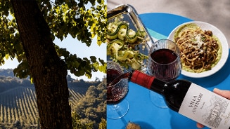 Wijnvelden met een boom op de voorgrond links, en rechts een tafel met een bord pasta, een schaal met salade, twee glazen rode wijn en een fles Villa Antinori rode wijn.
