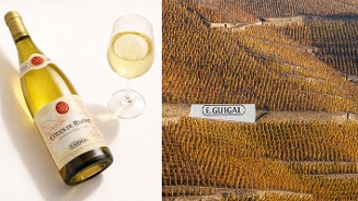 Wijngaard met herfstkleurige wijnranken en een bord met het logo van E. Guigal.