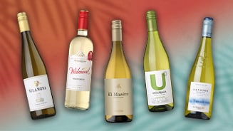Selectie van vijf flessen wijn: Vilanova Vinho Verde, Welmoed Pinot Grigio, El Maestro Verdejo, Undurraga U Chardonnay, en La Croix de St Jean Sauvignon Blanc.
