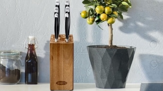 Messenset in een houten blok naast een plant met gele vruchten op een keukenblad.