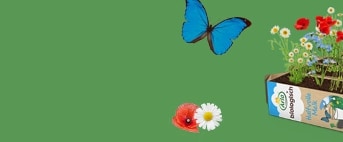 Arla biologisch merk met bloemen en een blauwe vlinder op een groene achtergrond.