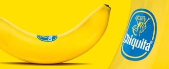 Chiquita bananen tegen een gele achtergrond