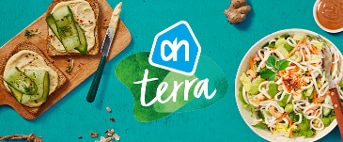 AH Terra banner