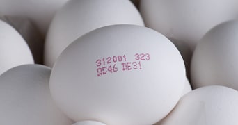Ei Reference Code Check je ei | Albert Heijn