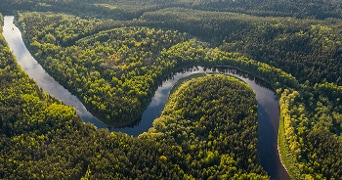 Luchtfoto van een kronkelende rivier omringd door een dicht groen bos.