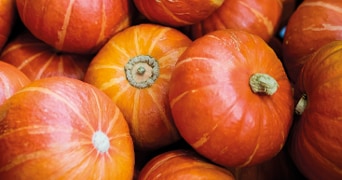Oranje pompoenen in een stapel