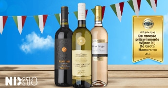 Drie flessen wijn met links een Fantini Primitivo, in het midden een Pinot Grigio Delle Venezie, en rechts een Pinot Grigio Rosé delle Venezie. Op de achtergrond zijn vlaggetjes en een medaille te zien met de tekst "Al 9 jaar op rij de meeste prijswinnende wijnen bij De Grote Hamersma 2024". Voorkant linkeronderhoek staat "NIX18".