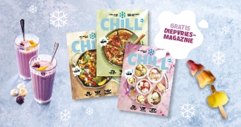 Gratis Dievries-magazine 'Chill' met verschillende recepten en afbeeldingen van smoothies en ijsjes op een blauwe achtergrond met sneeuwvlokken.