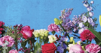 Bloemen in verschillende kleuren tegen een blauwe achtergrond.