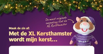 XL Kersthamster knuffel in paarse kersttrui en kerstmuts onder kersttakken met lichtjes, met promotietekst voor een kerstactie bij Albert Heijn