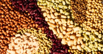 Verschillende soorten bonen en peulvruchten in diverse kleuren en vormen, naast elkaar gelegd.