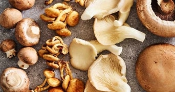 Verschillende soorten paddenstoelen, waaronder champignons en oesterzwammen, op een stenen oppervlak.